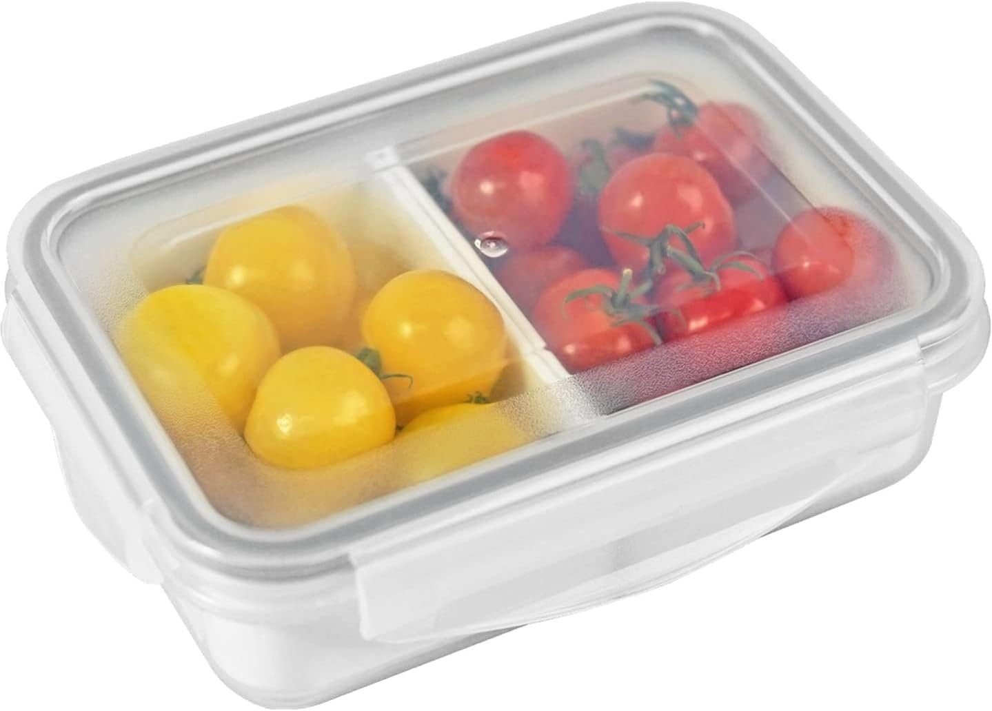 carrotez 2 Compartment Food Container – 2 Cup (480ml)