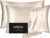 Silk Pillow Cases 2 Pack, Mulberry Silk Pillowcases Standard Set of 2, Health, Smooth, Anti Acne, Beauty Sleep, Both Sides Natural Silk Satin Pillow Cases for Women 2 Pack with Zipper for Gift, Beige
