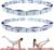 Elastic Yoga Stretching Strap with Loops, CEILIWEN Stretch Straps for Physical Therapy, Pilates Stretch Band, Elastic Exercise Bands, Leg Stretching Strap, Stretch Resistance Bands for Exercise
