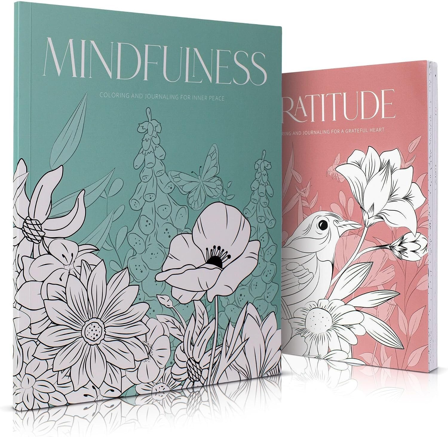 Beautiful Adult Coloring Book Set of 2 for Relaxation – Gratitude Books